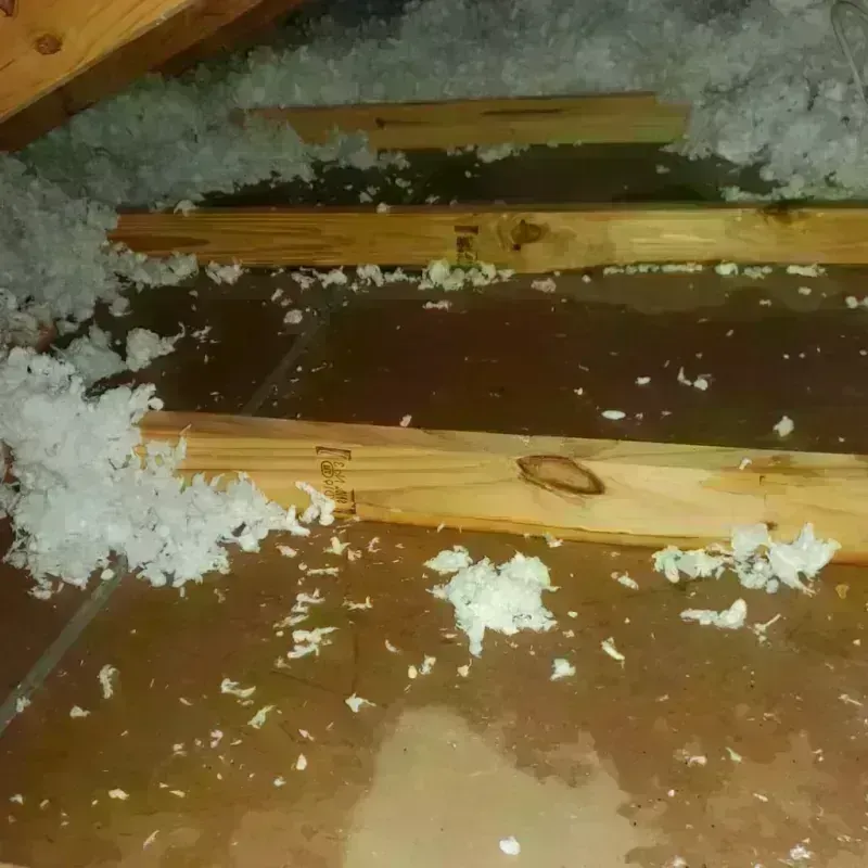 Attic Water Damage in McCamey, TX